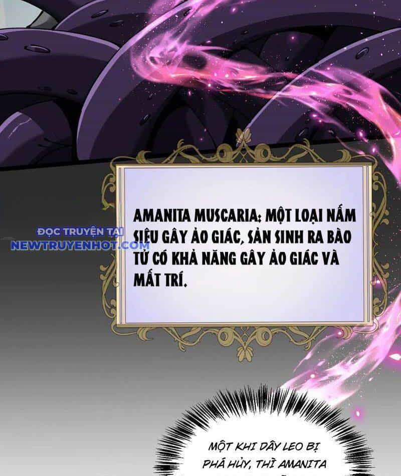 Cái Bóng Phản Bội Của Gia Tộc - Chương 38 - ảnh 65