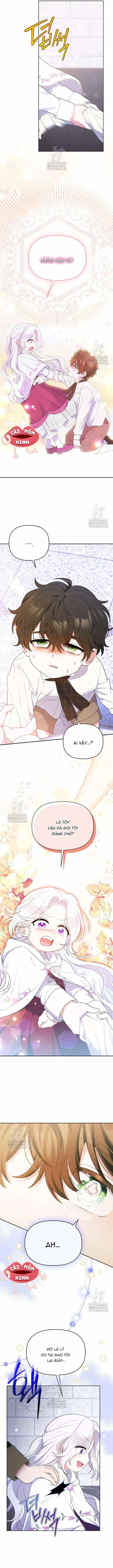 Cái Giá Của Tái Sinh - Chương 11 - ảnh 11
