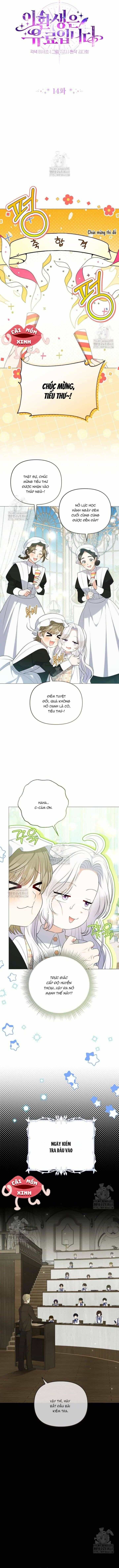Cái Giá Của Tái Sinh - Chương 14 - ảnh 2