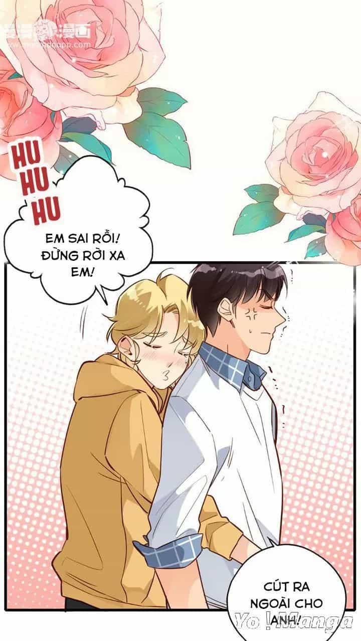 Cái Vòng Này Thật Loạn - Chương 123 - ảnh 17