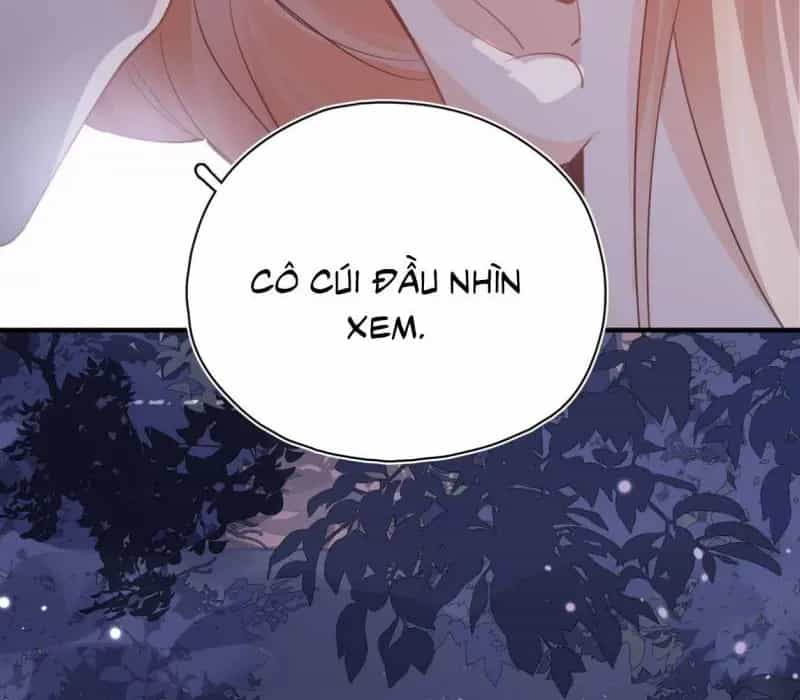 Cạm Bẫy Của Hắn - Chương 34 - ảnh 24