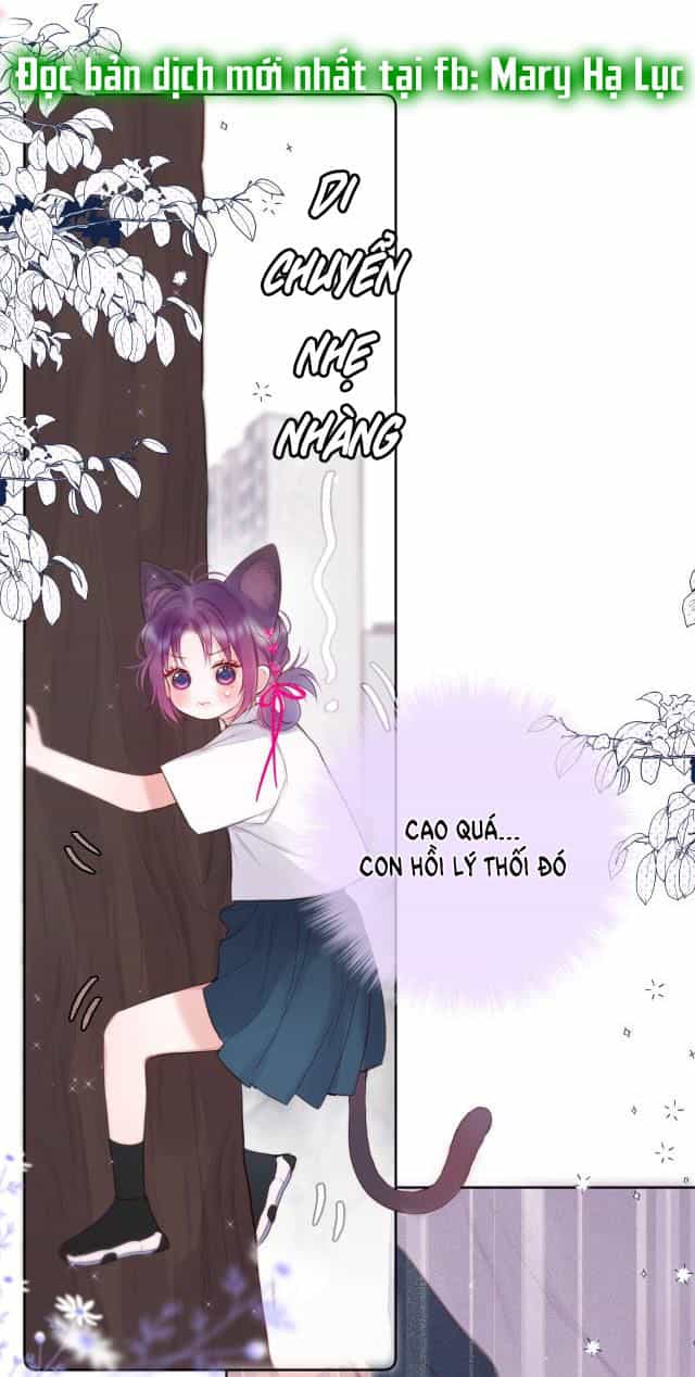 Cạm Bẫy Của Hồ Ly - Chương 4.1 - ảnh 18