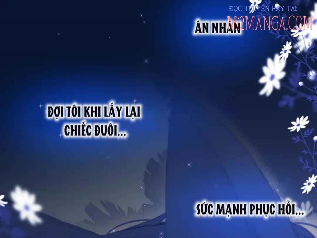 Cạm Bẫy Của Hồ Ly - Chương 5.5 - ảnh 22