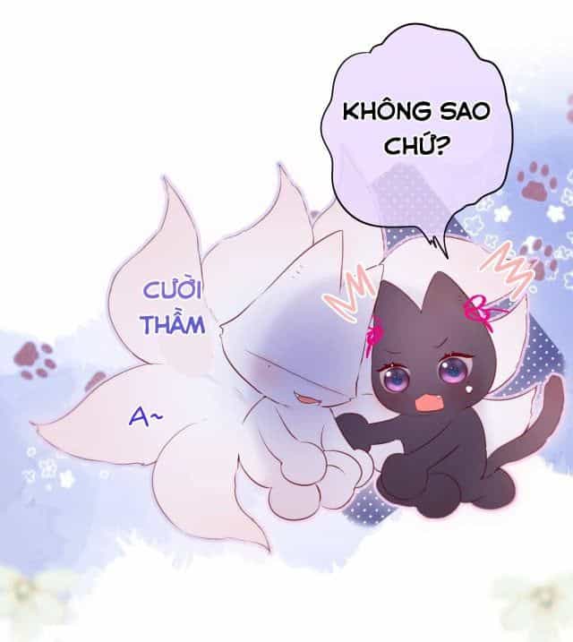 Cạm Bẫy Của Hồ Ly - Chương 8.5 - ảnh 6