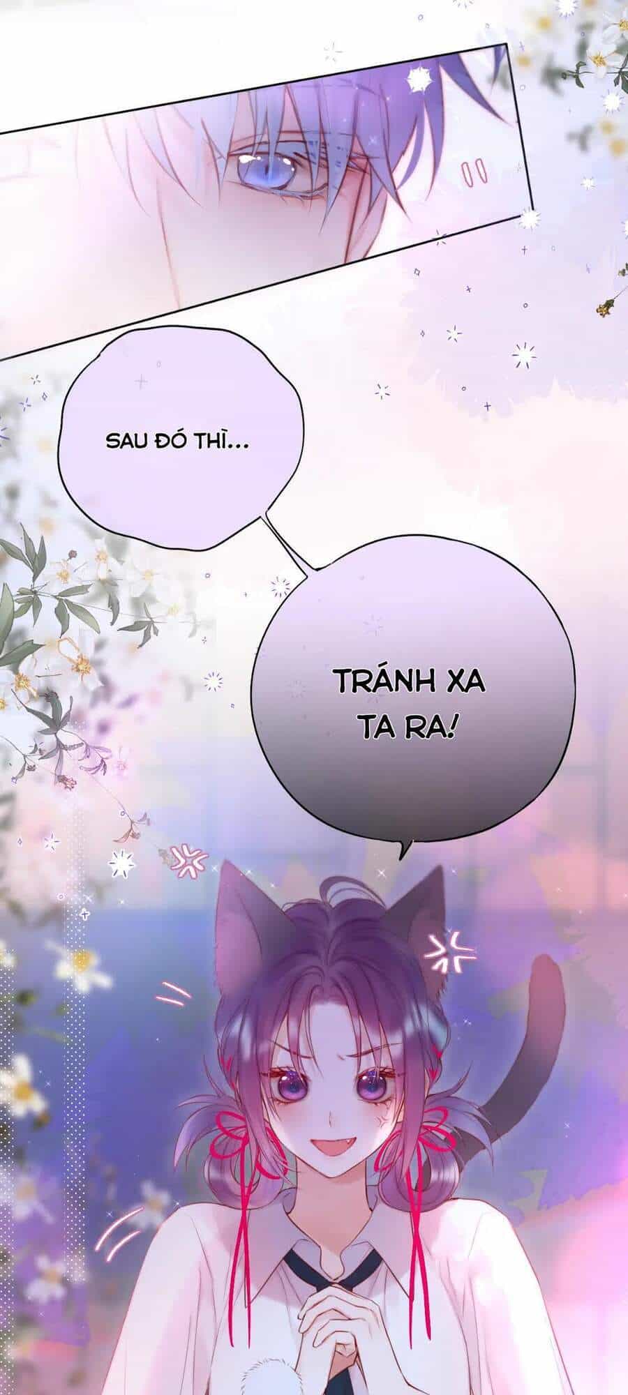 Cạm Bẫy Của Hồ Ly - Chương 9 - ảnh 22