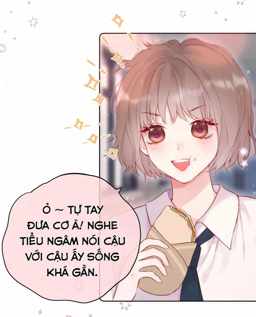 Cạm Bẫy Của Hồ Ly - Chương 11 - ảnh 7