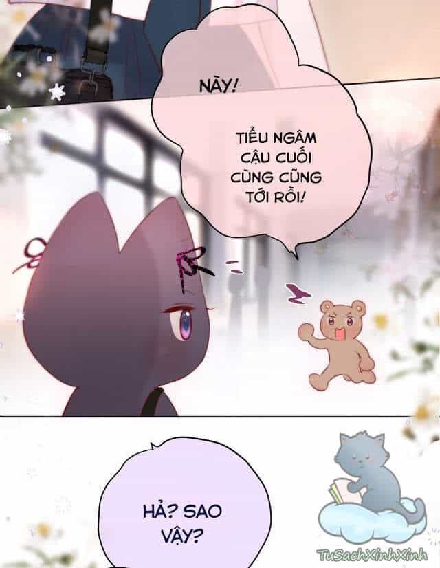 Cạm Bẫy Của Hồ Ly - Chương 13 - ảnh 17