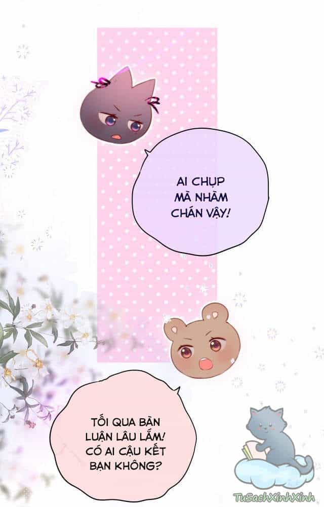 Cạm Bẫy Của Hồ Ly - Chương 13 - ảnh 21