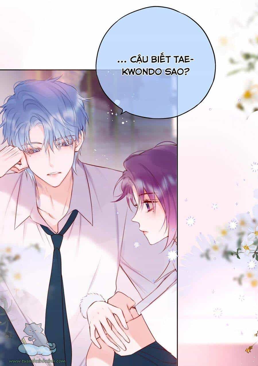 Cạm Bẫy Của Hồ Ly - Chương 16 - ảnh 14