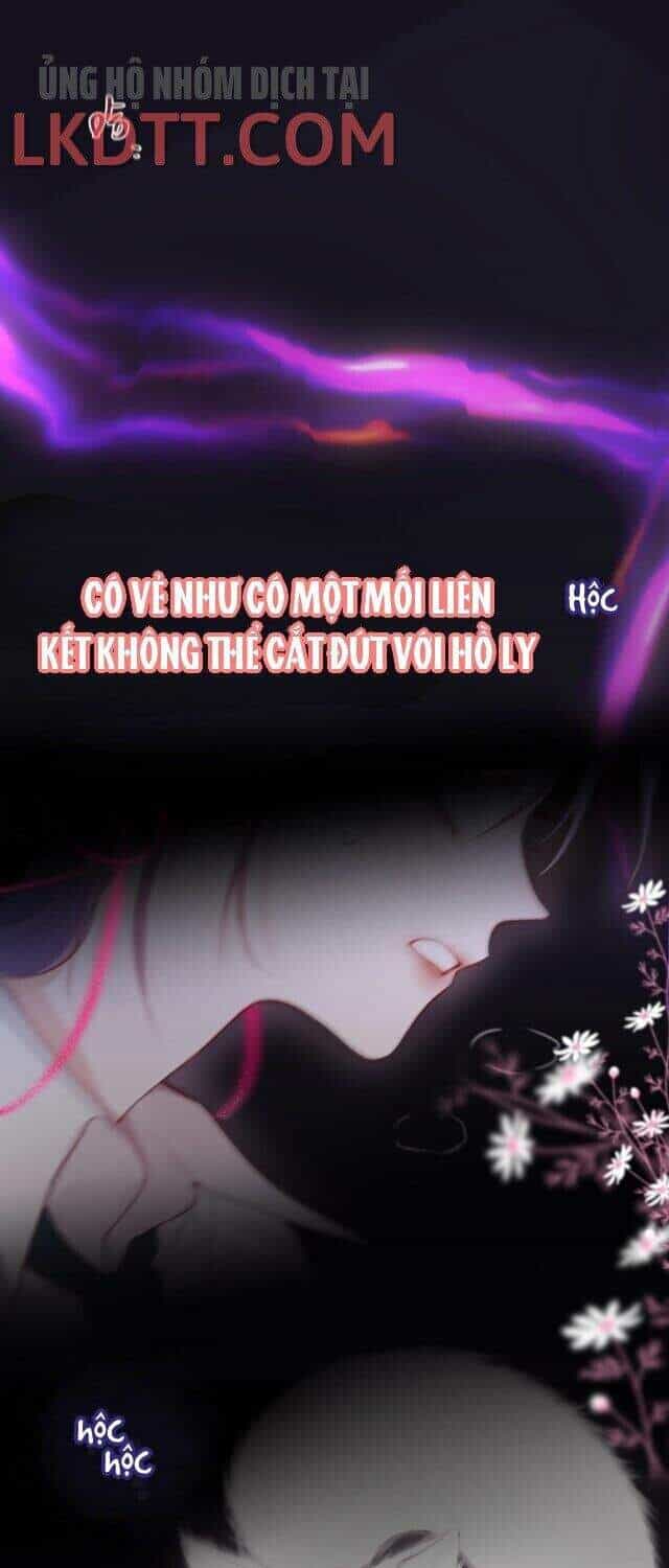 Cạm Bẫy Của Hồ Ly - Chương 1 - ảnh 1