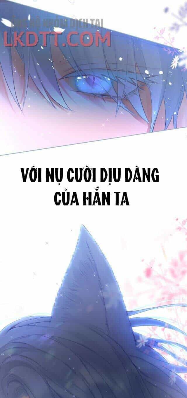 Cạm Bẫy Của Hồ Ly - Chương 1 - ảnh 11