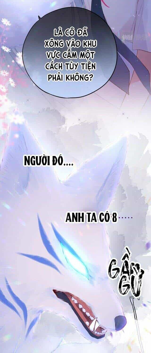 Cạm Bẫy Của Hồ Ly - Chương 1 - ảnh 6