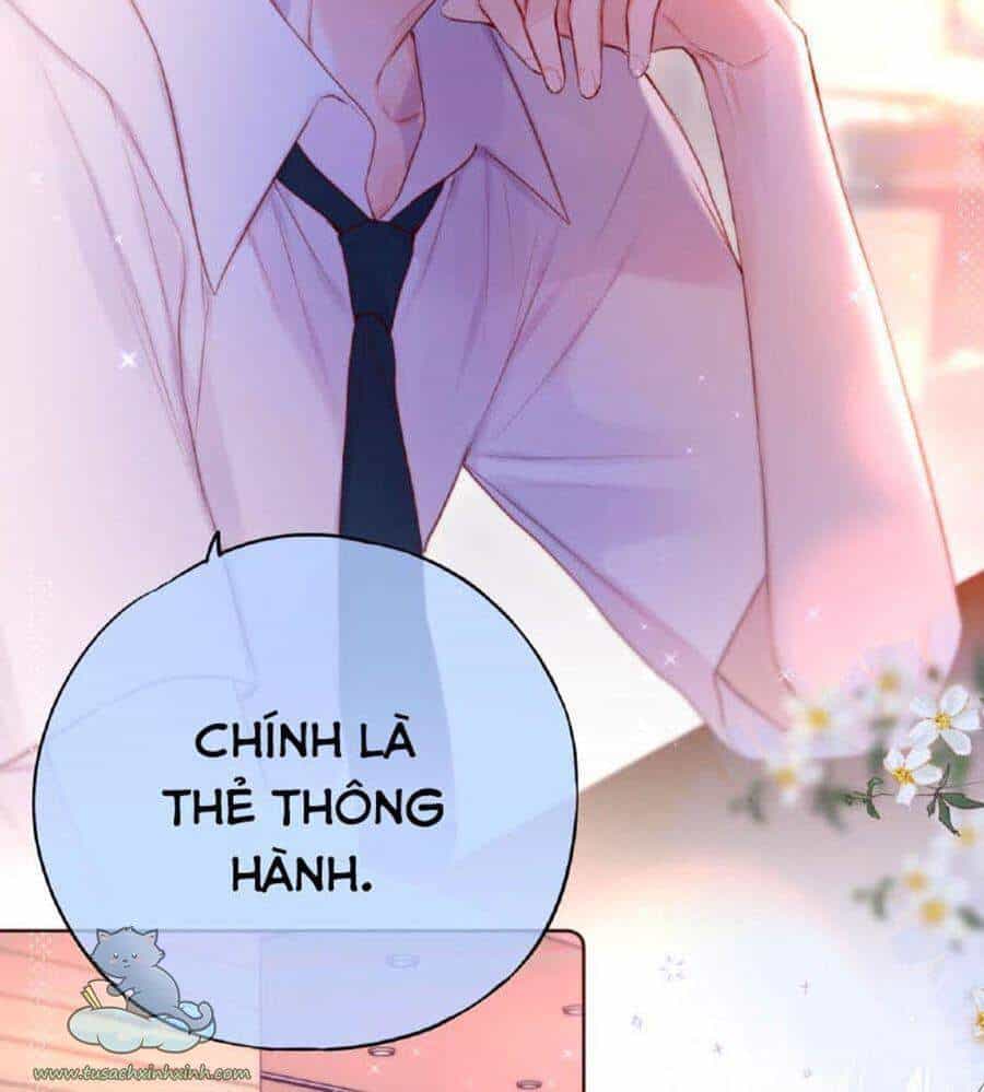 Cạm Bẫy Của Hồ Ly - Chương 19 - ảnh 8