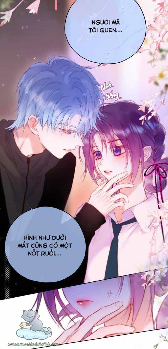 Cạm Bẫy Của Hồ Ly - Chương 22 - ảnh 16