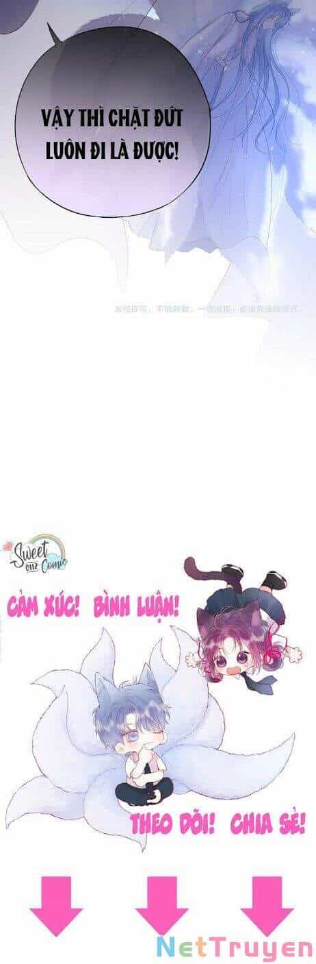 Cạm Bẫy Của Hồ Ly - Chương 2 - ảnh 35