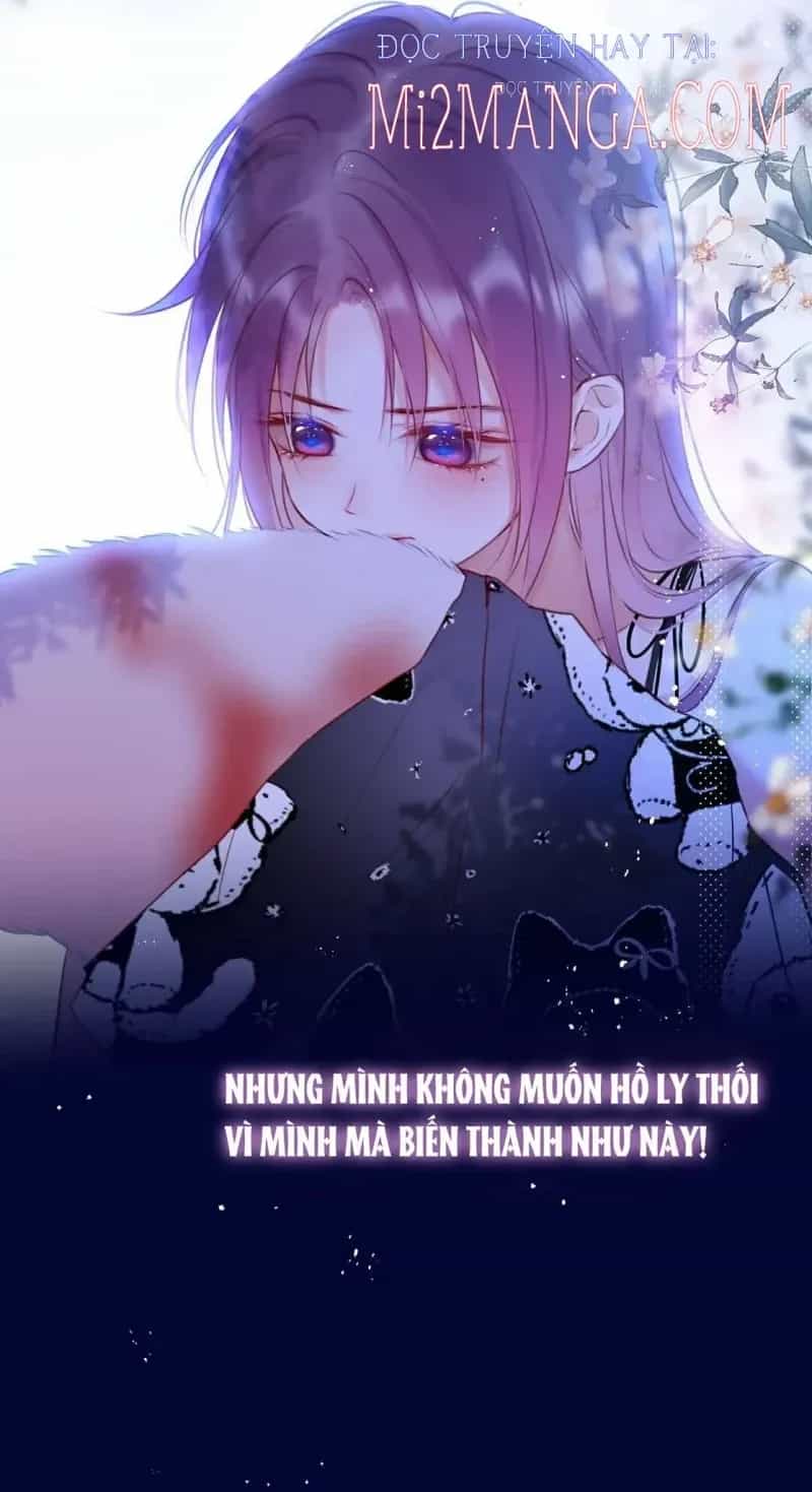 Cạm Bẫy Của Hồ Ly - Chương 28.5 - ảnh 14