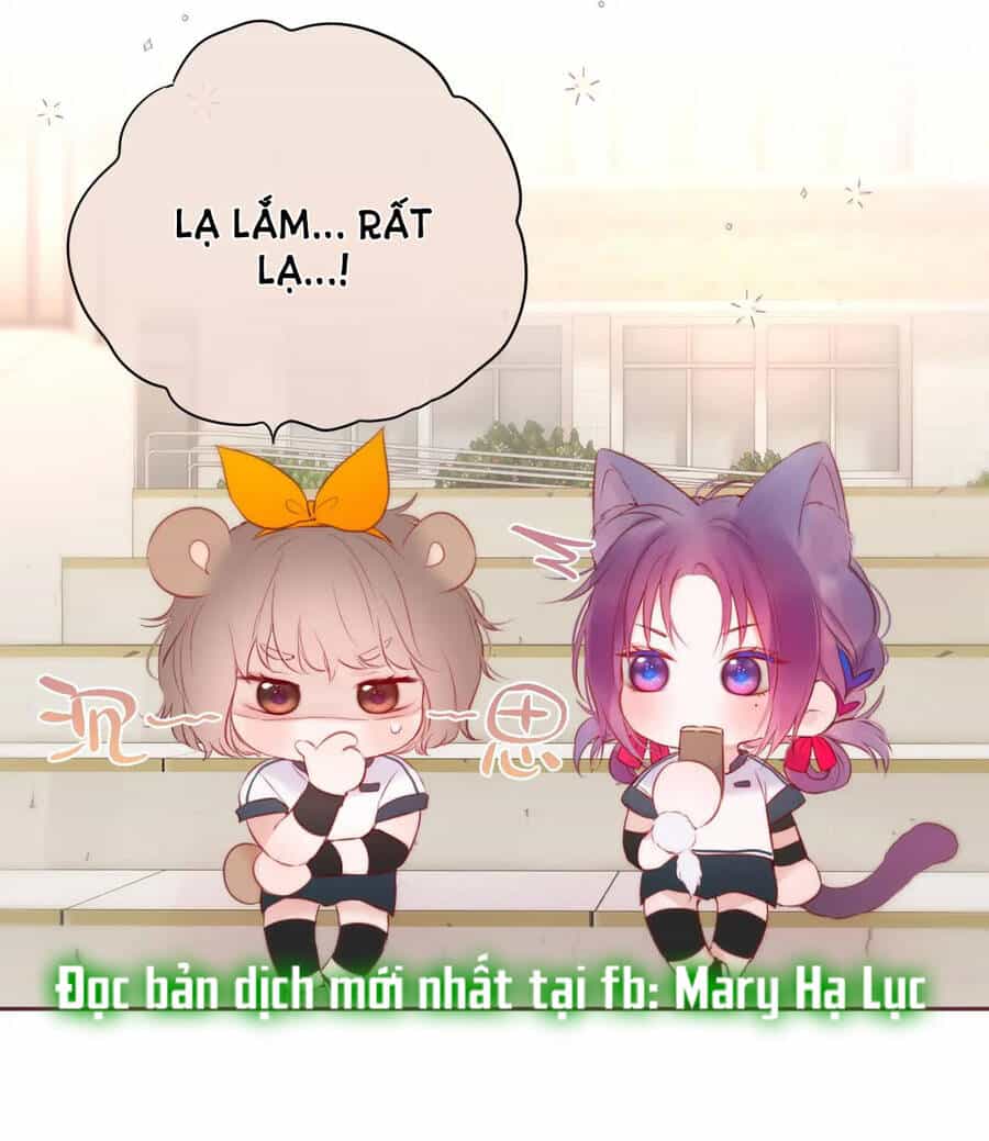 Cạm Bẫy Của Hồ Ly - Chương 39.2 - ảnh 22