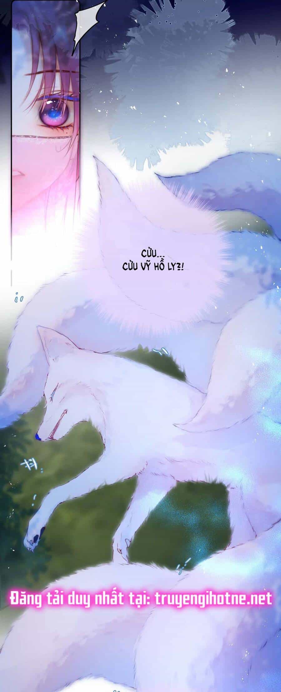 Cạm Bẫy Của Hồ Ly - Chương 49 - ảnh 22