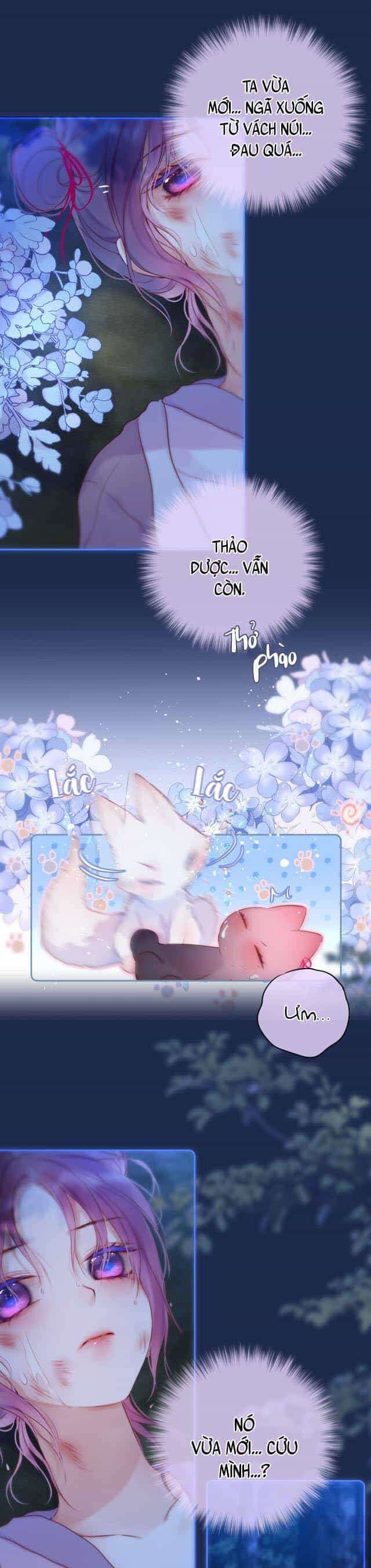 Cạm Bẫy Của Hồ Ly - Chương 50 - ảnh 12