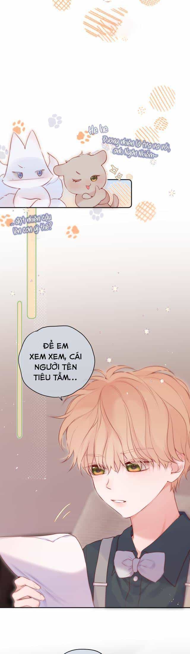 Cạm Bẫy Của Hồ Ly - Chương 56 - ảnh 5