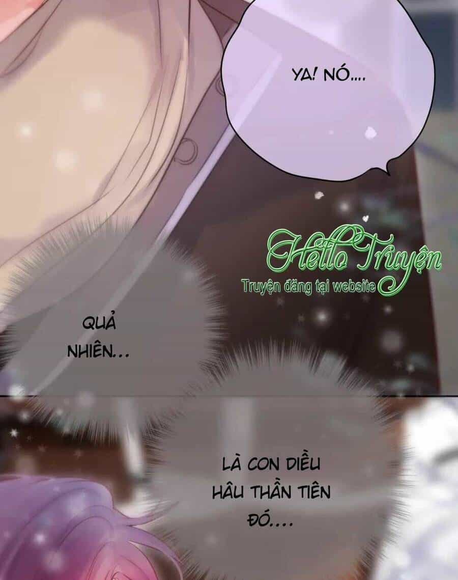 Cạm Bẫy Của Hồ Ly - Chương 62 - ảnh 29