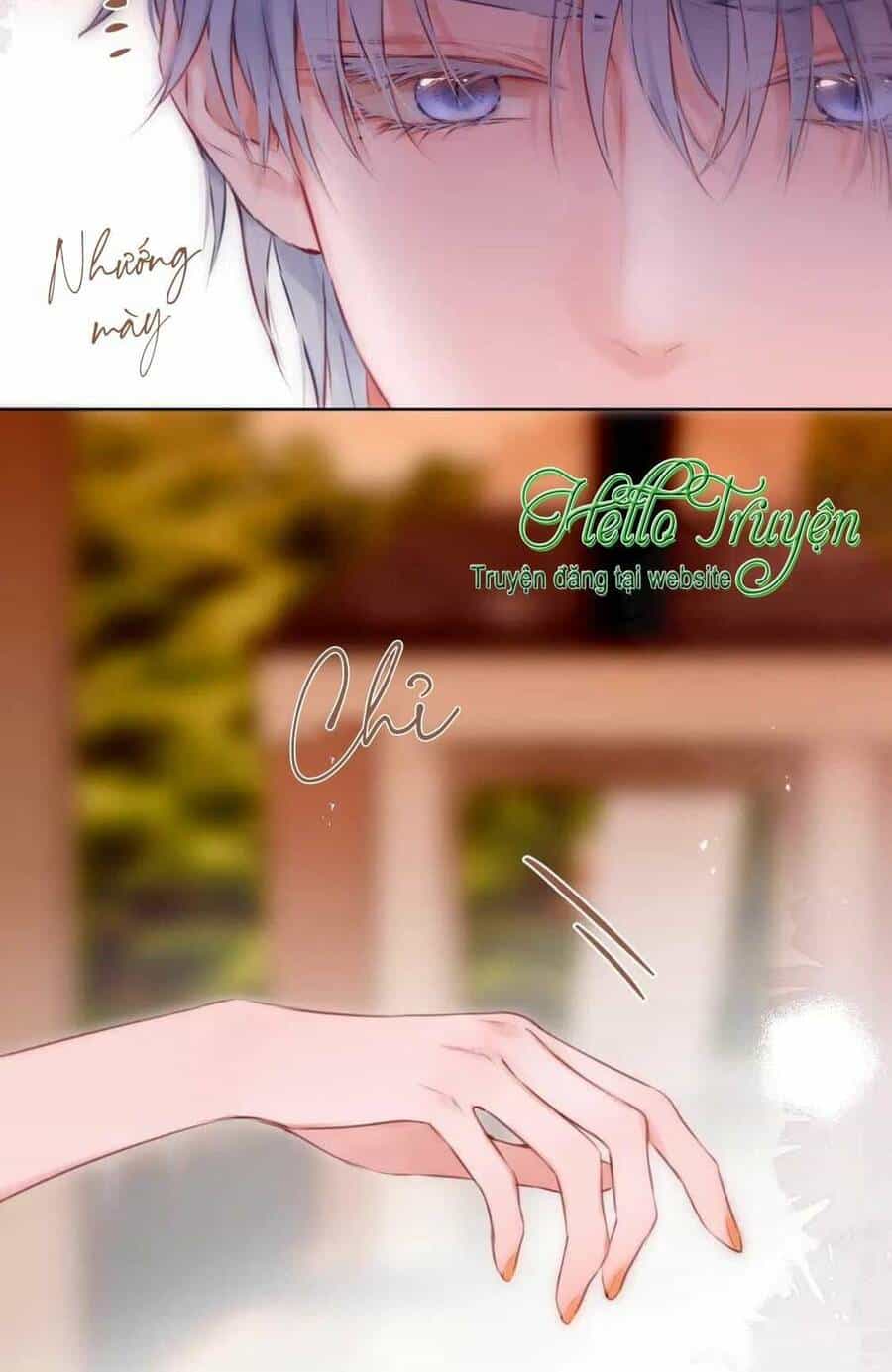Cạm Bẫy Của Hồ Ly - Chương 63 - ảnh 17