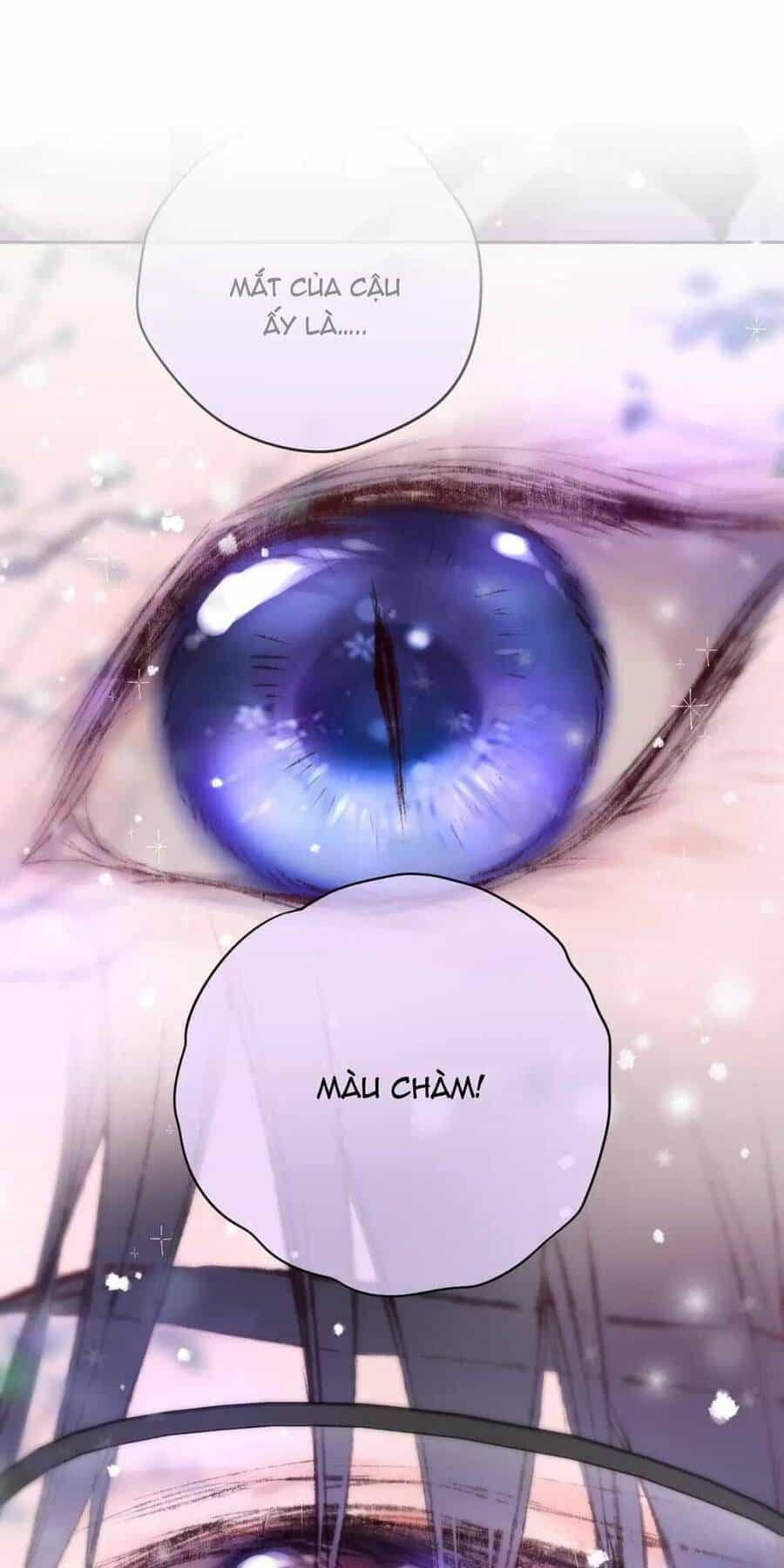Cạm Bẫy Của Hồ Ly - Chương 63 - ảnh 3