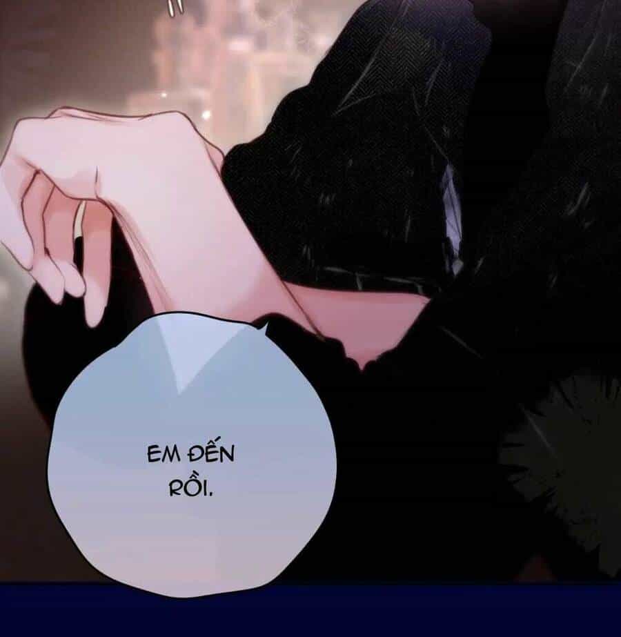 Cạm Bẫy Của Hồ Ly - Chương 65 - ảnh 23