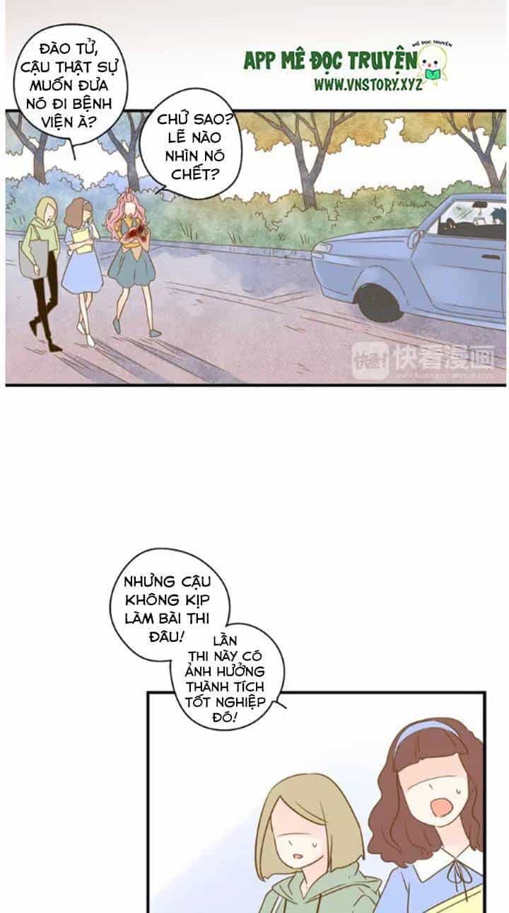 Cạm Bẫy Ngọt Ngào - Chương 24 - ảnh 12