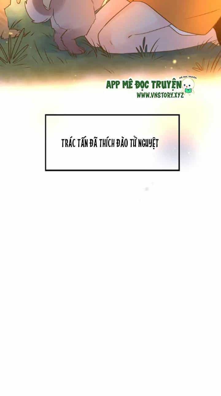 Cạm Bẫy Ngọt Ngào - Chương 24 - ảnh 43