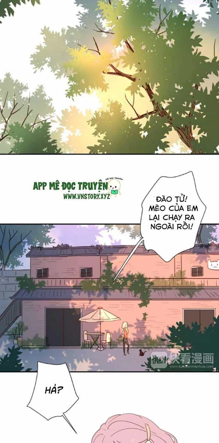 Cạm Bẫy Ngọt Ngào - Chương 35 - ảnh 58