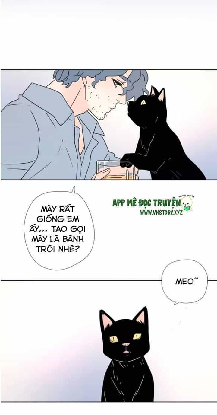 Cạm Bẫy Ngọt Ngào - Chương 47 - ảnh 24
