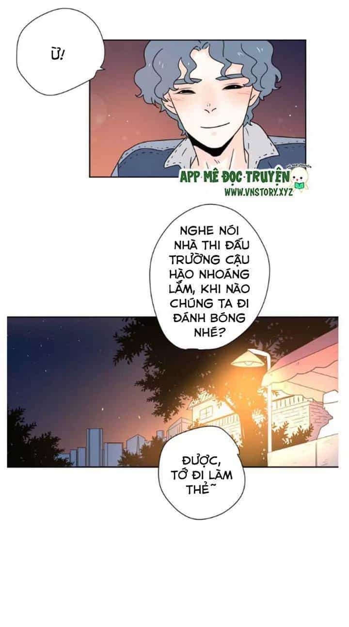 Cạm Bẫy Ngọt Ngào - Chương 51 - ảnh 13