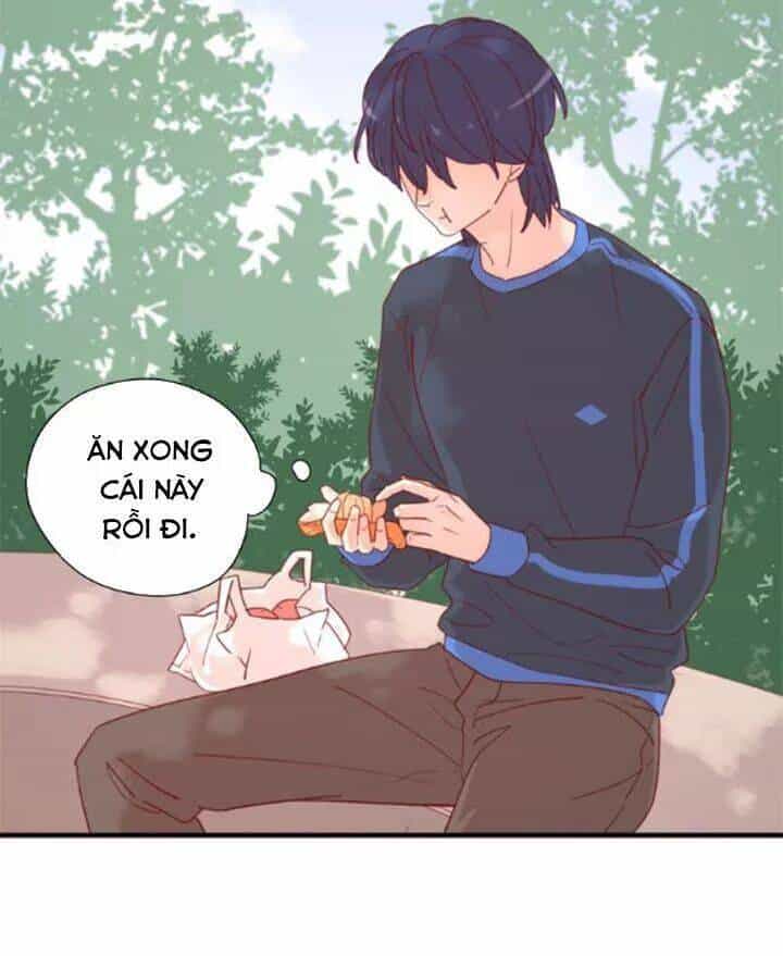 Cạm Bẫy Ngọt Ngào - Chương 76 - ảnh 41