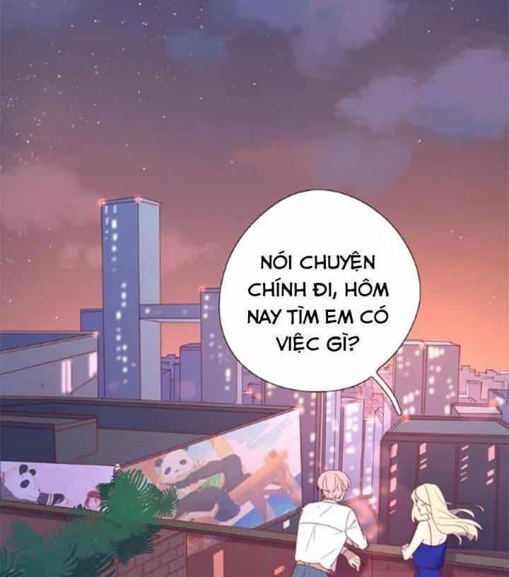 Cạm Bẫy Ngọt Ngào - Chương 82 - ảnh 2