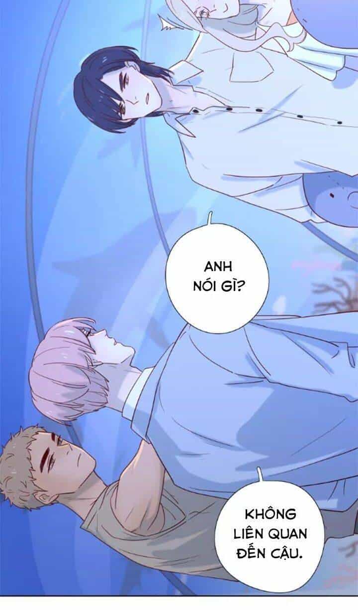 Cạm Bẫy Ngọt Ngào - Chương 86 - ảnh 28