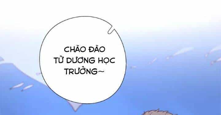 Cạm Bẫy Ngọt Ngào - Chương 86 - ảnh 35
