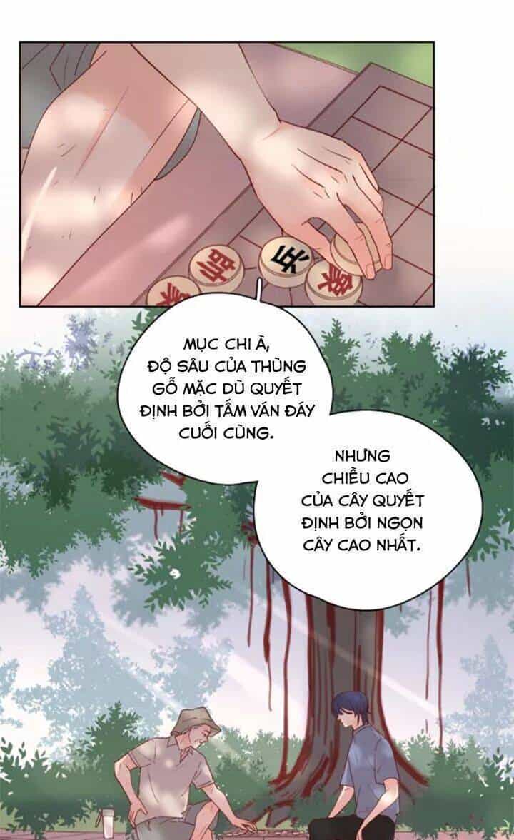 Cạm Bẫy Ngọt Ngào - Chương 88 - ảnh 25