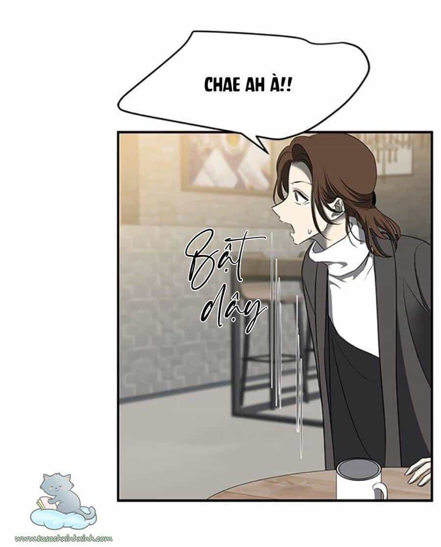 Cạm Bẫy - Chương 111 - ảnh 111