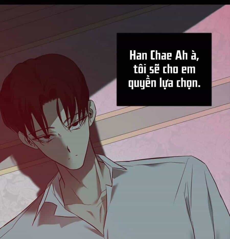 Cạm Bẫy - Chương 142 - ảnh 101