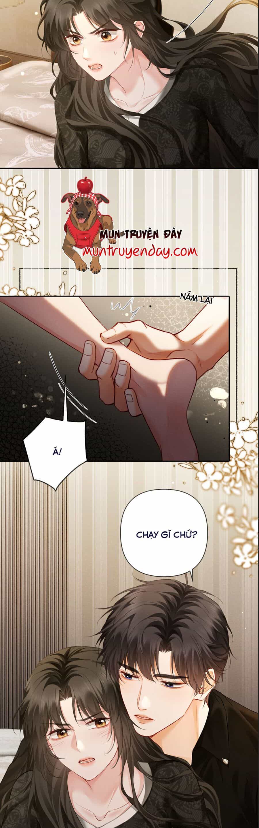 Cám Dỗ Dịu Dàng - Thâm Tình - Chương 16 - ảnh 11