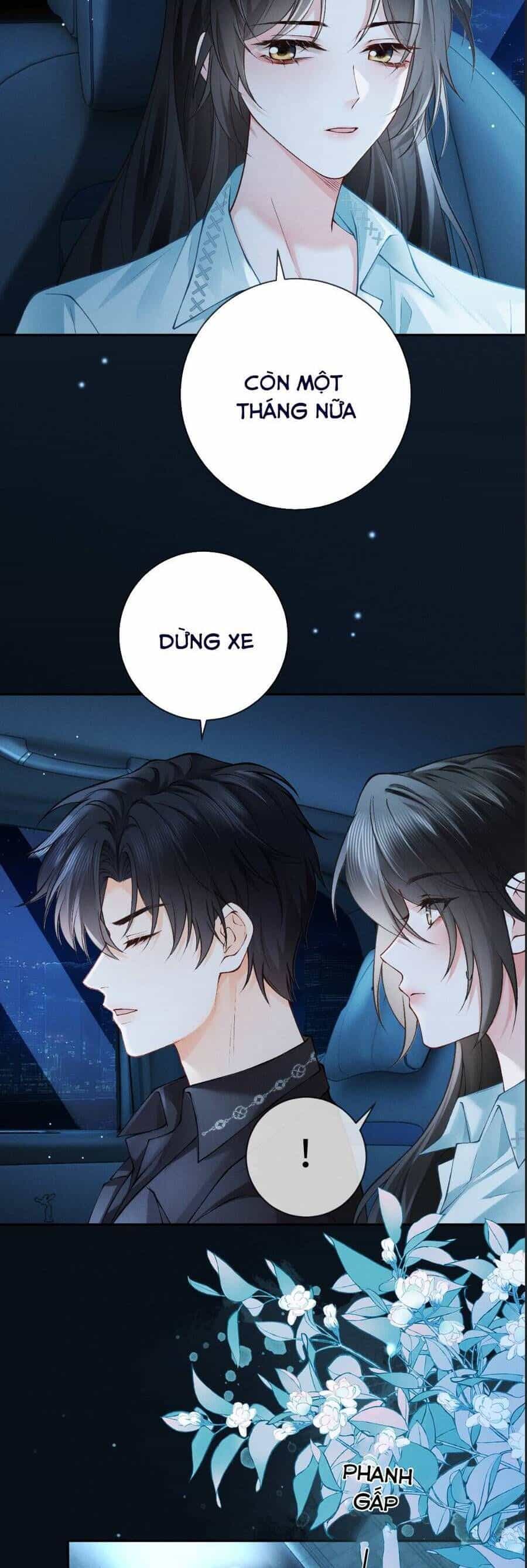 Cám Dỗ Dịu Dàng - Thâm Tình - Chương 4 - ảnh 4