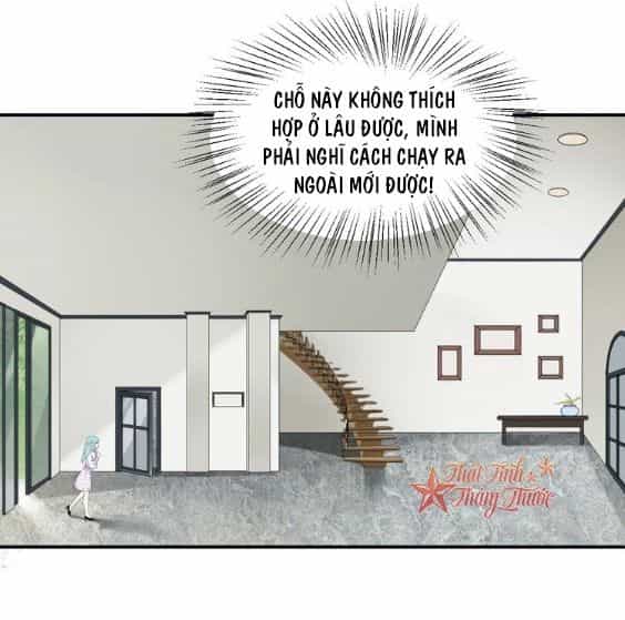 Cẩm Nang Nuôi Dưỡng Ông Xã - Chương 1 - ảnh 25