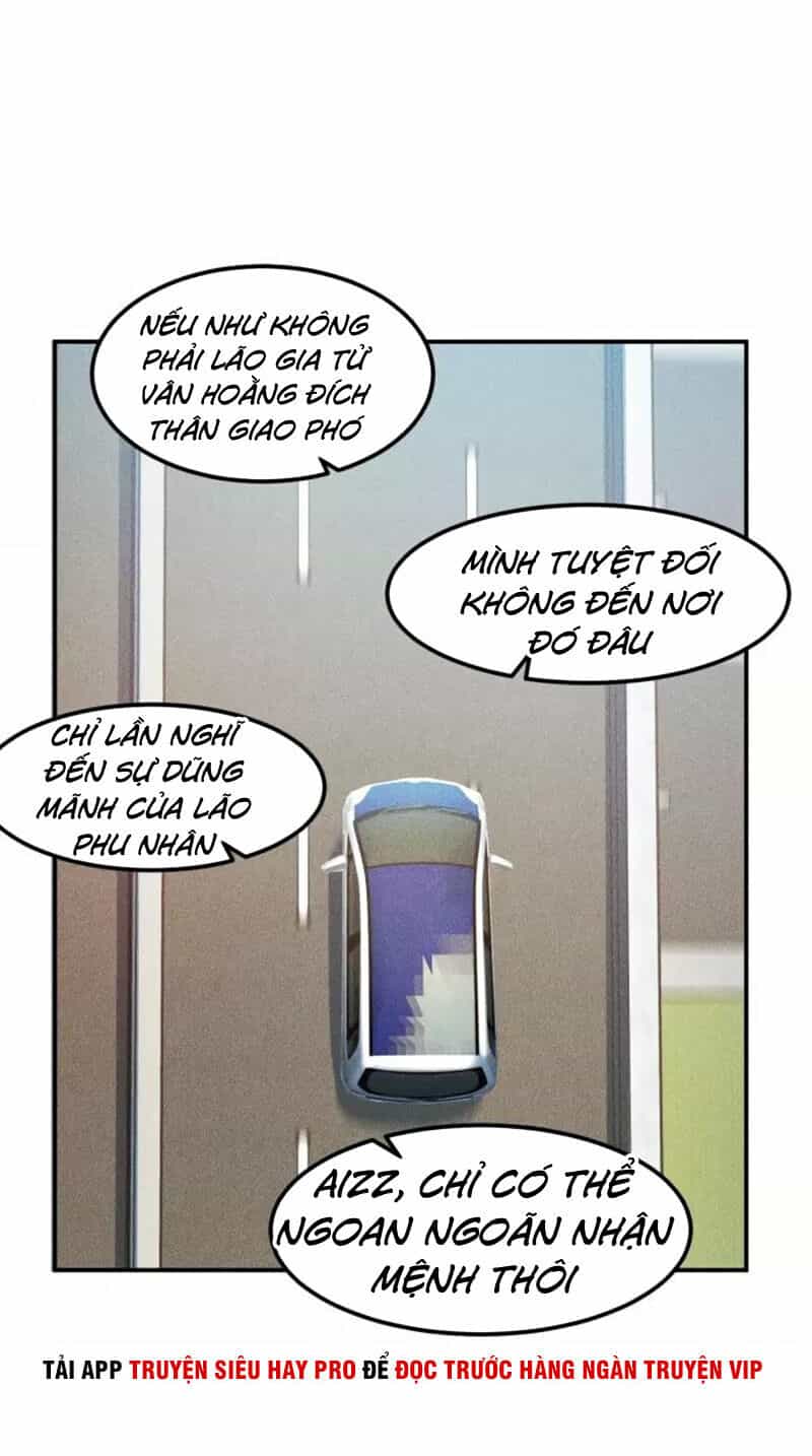 Cao Thủ Cận Vệ Của Nữ Chủ Tịch - Chương 114 - ảnh 12