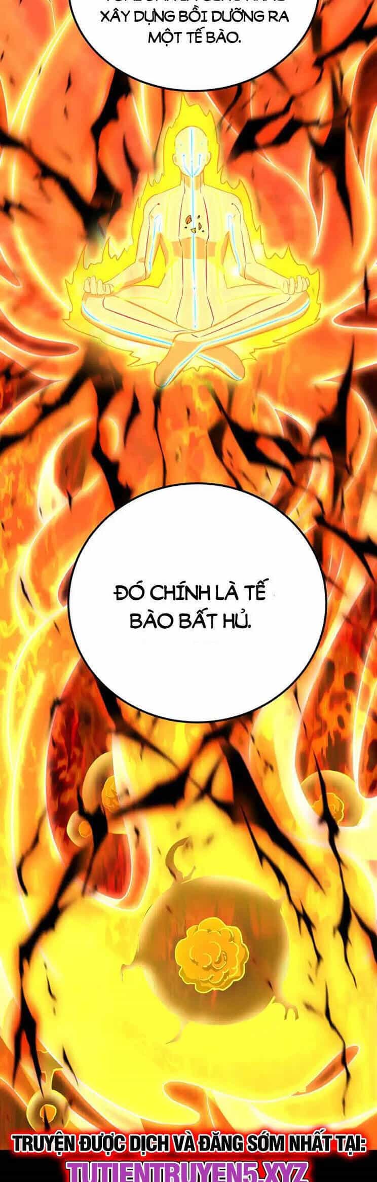 Cao Võ: Hạ Cánh Đến Một Vạn Năm Sau - Chương 120 - ảnh 13