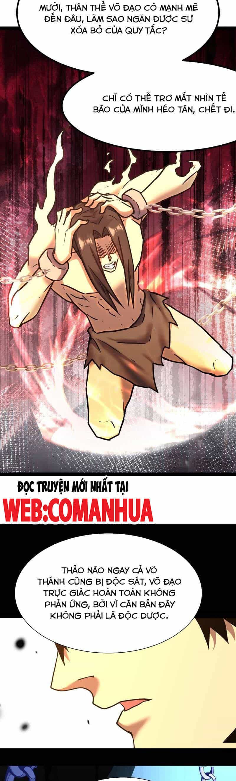 Cao Võ: Hạ Cánh Đến Một Vạn Năm Sau - Chương 173 - ảnh 14
