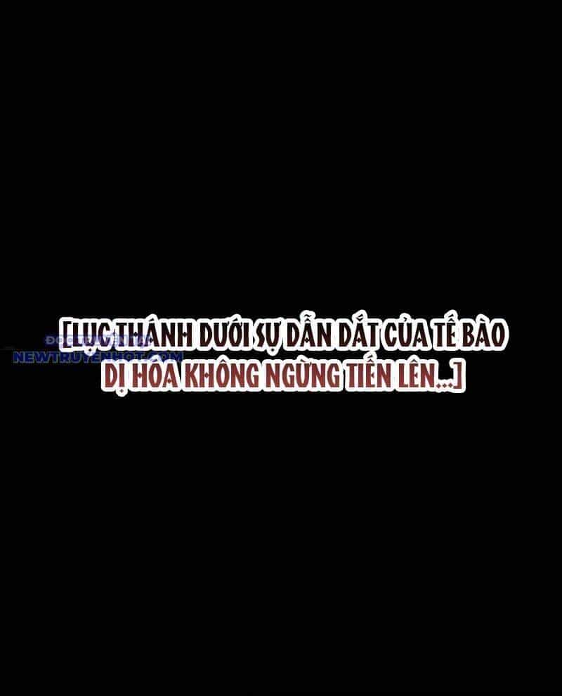 Cao Võ: Hạ Cánh Đến Một Vạn Năm Sau - Chương 186 - ảnh 77