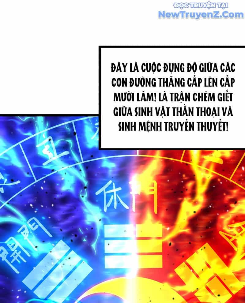 Cao Võ: Hạ Cánh Đến Một Vạn Năm Sau - Chương 217 - ảnh 58