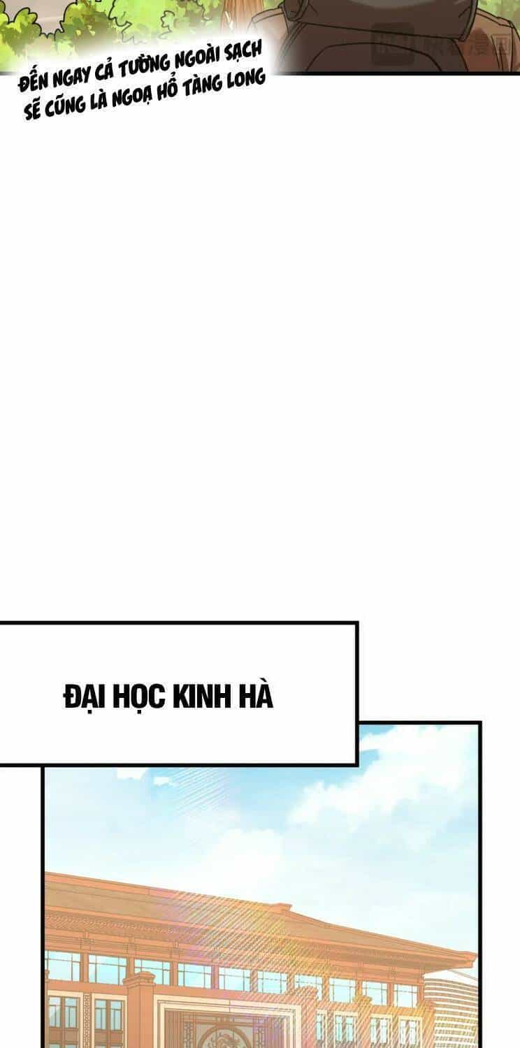Cao Võ: Hạ Cánh Đến Một Vạn Năm Sau - Chương 66 - ảnh 28