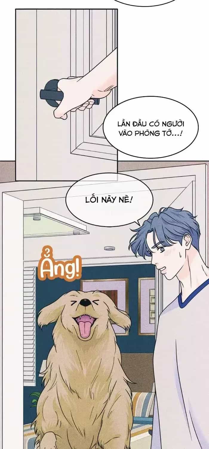 Cặp Đôi Hướng Nội - Chương 85 - ảnh 57